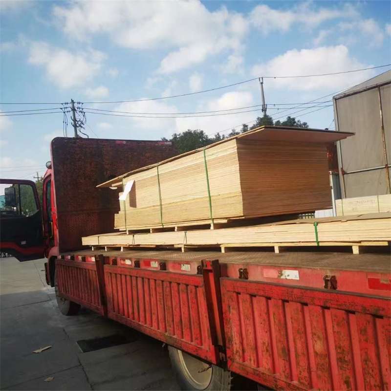 福建厦门思明至塔城货运专线，一站式物流服务助您成功